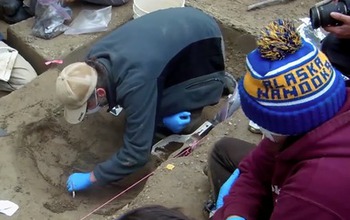 scientists working on a burial site